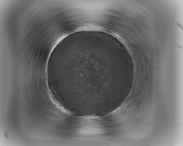 X0000093480864200710261037