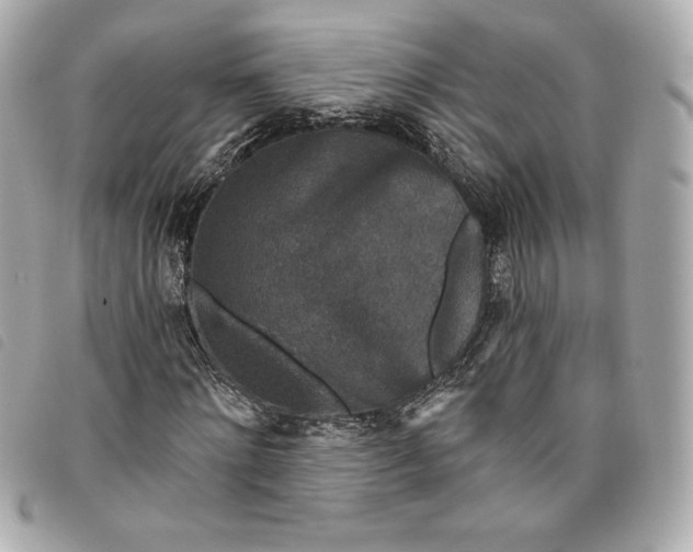 X0000093480868200710261037