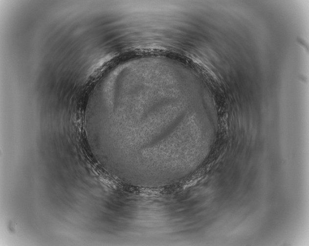 X0000093480870200710261036