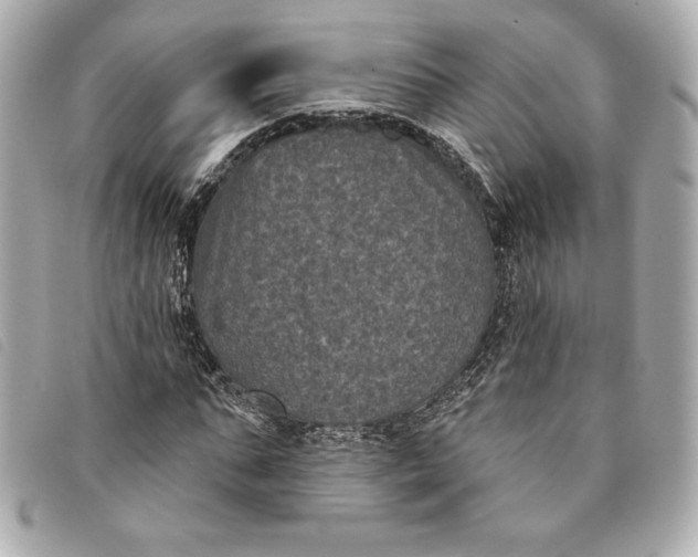 X0000093480871200710261036