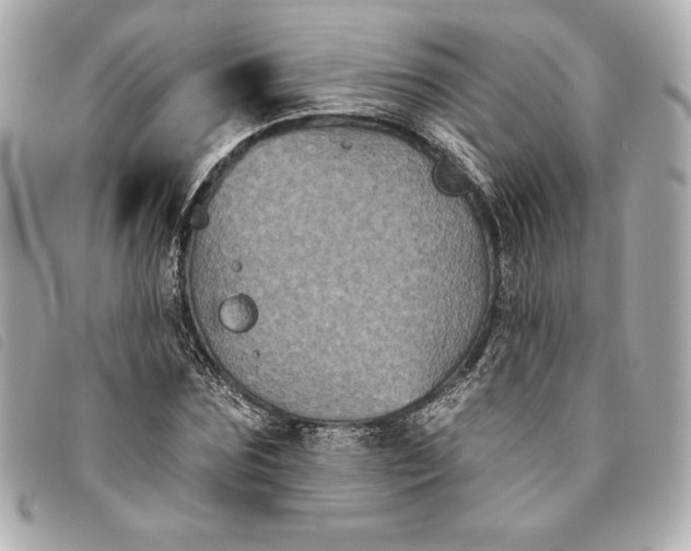 X0000093480875200710261036