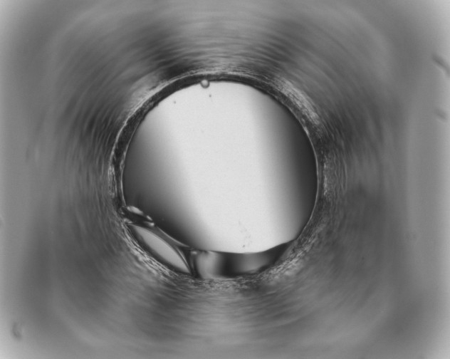 X0000093480876200710261036
