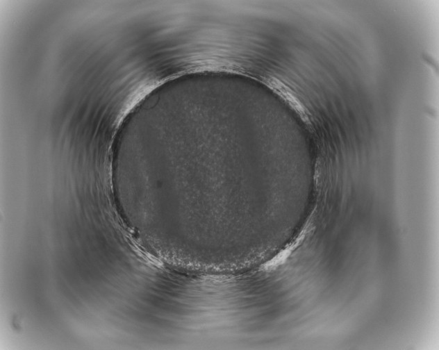 X0000093480877200710261036