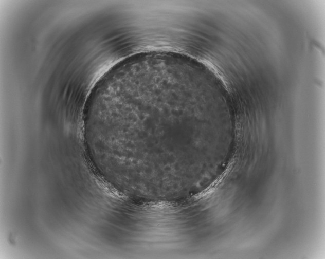 X0000093480879200710261036
