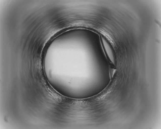X0000093480880200710261036