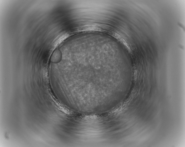 X0000093480882200710261036