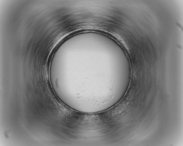 X0000093480887200710261036