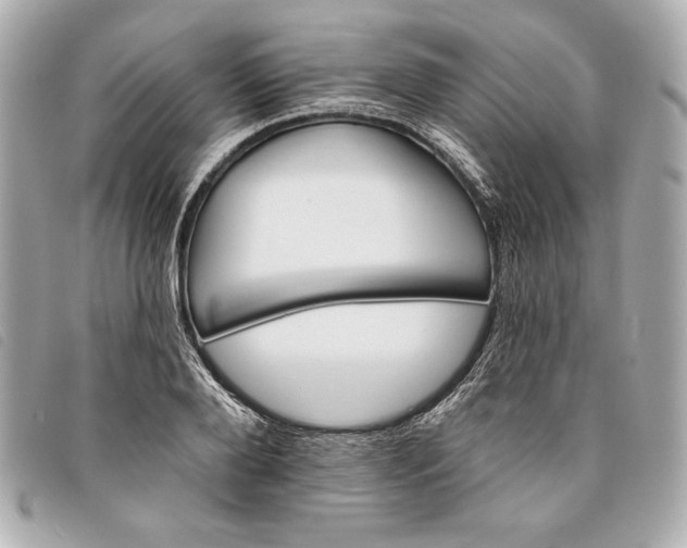 X0000093480888200710261036