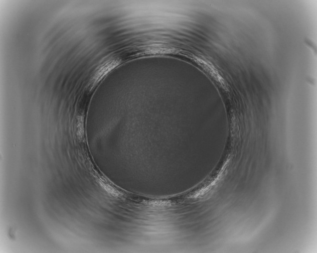 X0000093480889200710261036