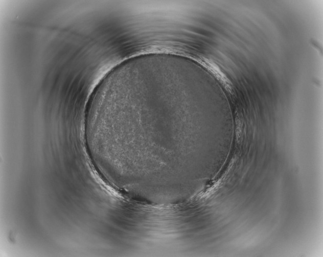 X0000093480896200710261036