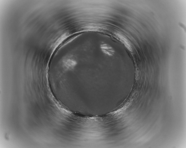 X0000093480899200710261036