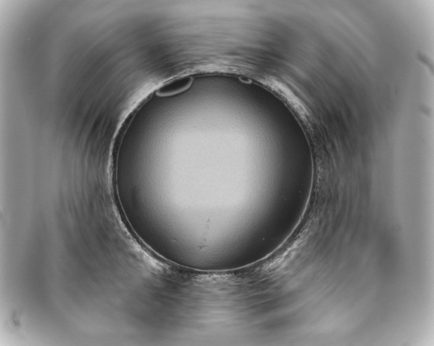 X0000093480902200710261036