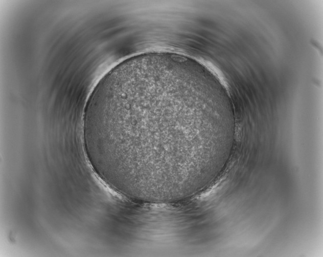 X0000093480903200710261036