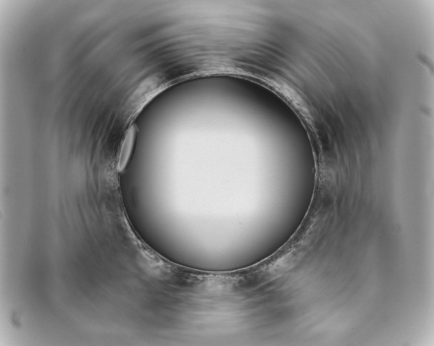 X0000093480905200710261036