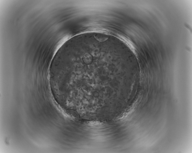 X0000093480907200710261036