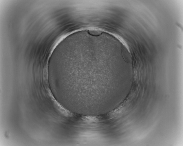 X0000093480911200710261036