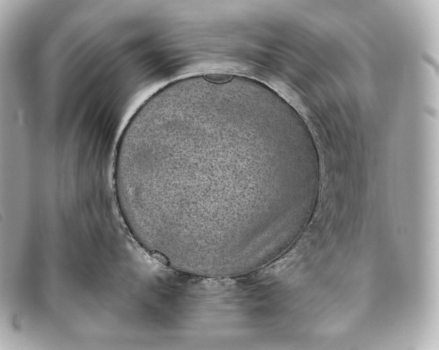X0000093480912200710261036