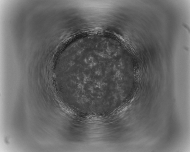 X0000093480913200710261035