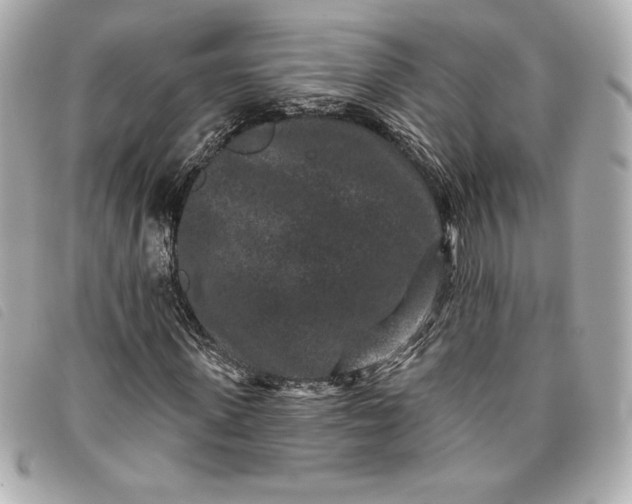 X0000093480915200710261035