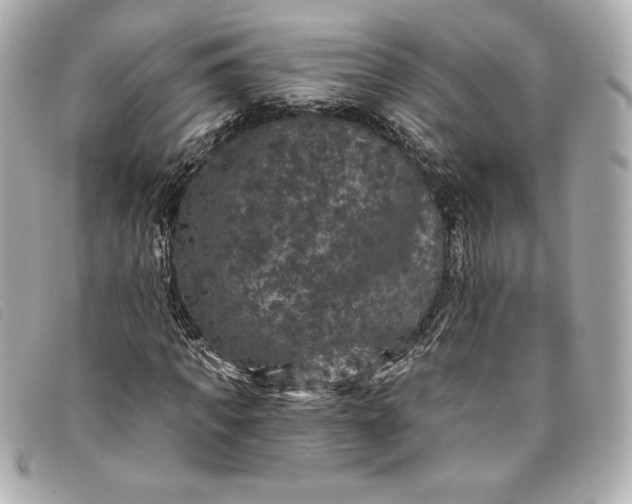 X0000093480917200710261035