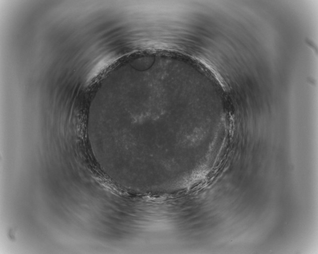 X0000093480919200710261035