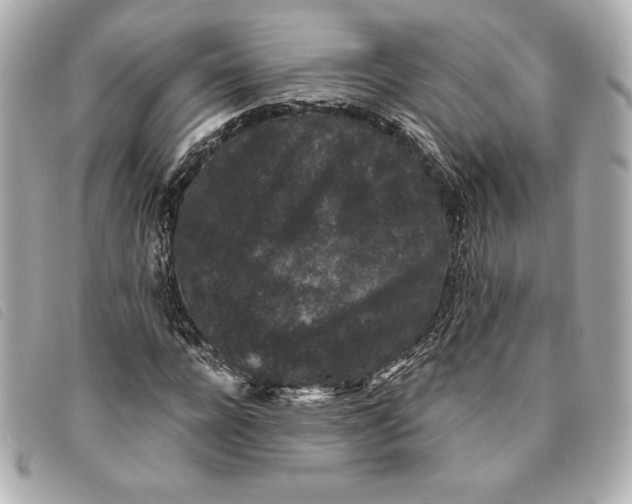 X0000093480920200710261035