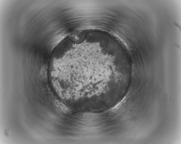 X0000093480921200710261036