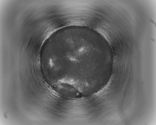 X0000093480923200710261036