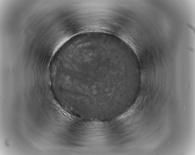 X0000093480925200710261036