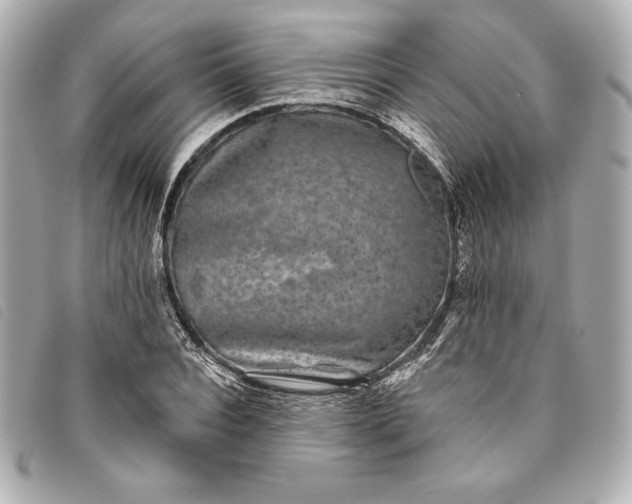 X0000093480928200710261036