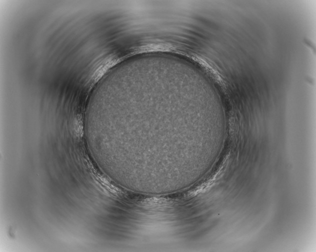 X0000093480929200710261036