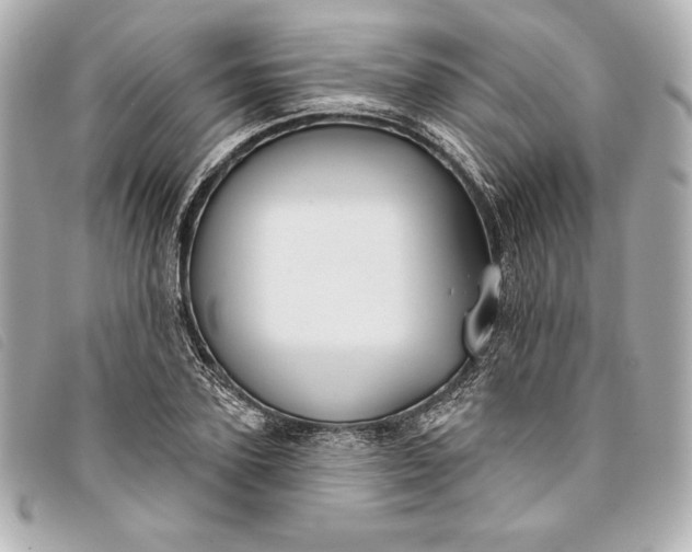 X0000093480931200710261036