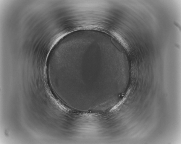 X0000093480932200710261036