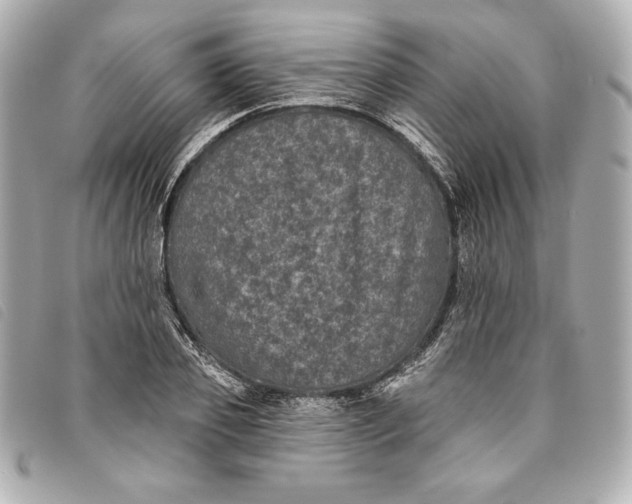 X0000093480933200710261036