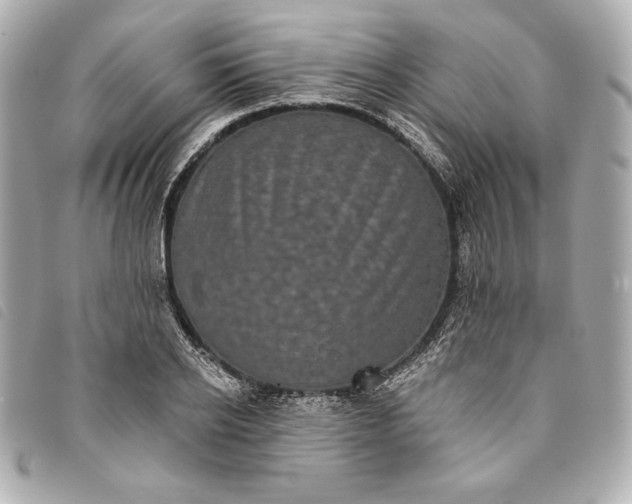 X0000093480934200710261036