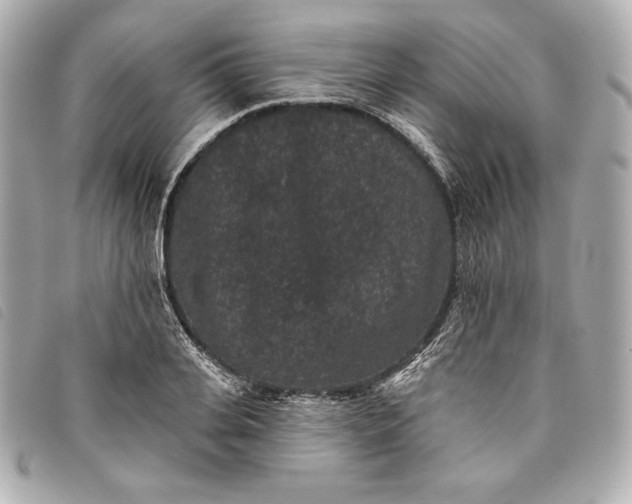 X0000093480935200710261036