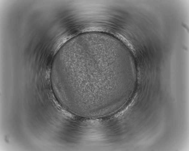 X0000093480937200710261036