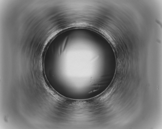 X0000093480939200710261036