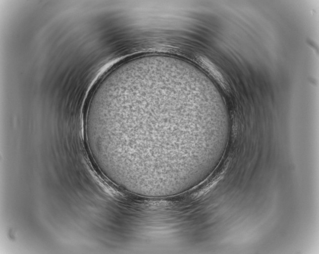 X0000093480940200710261036