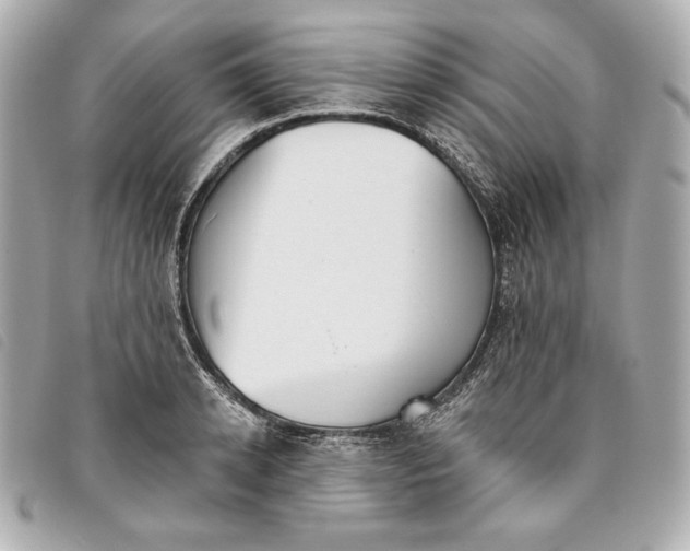 X0000093480942200710261036