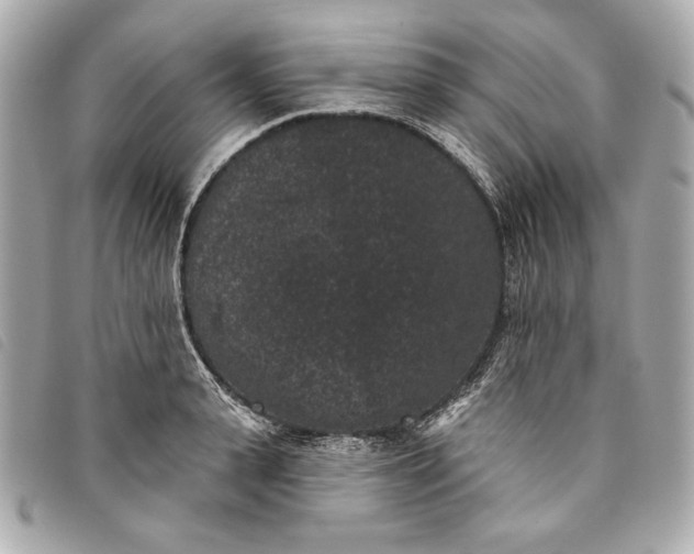 X0000093480943200710261036