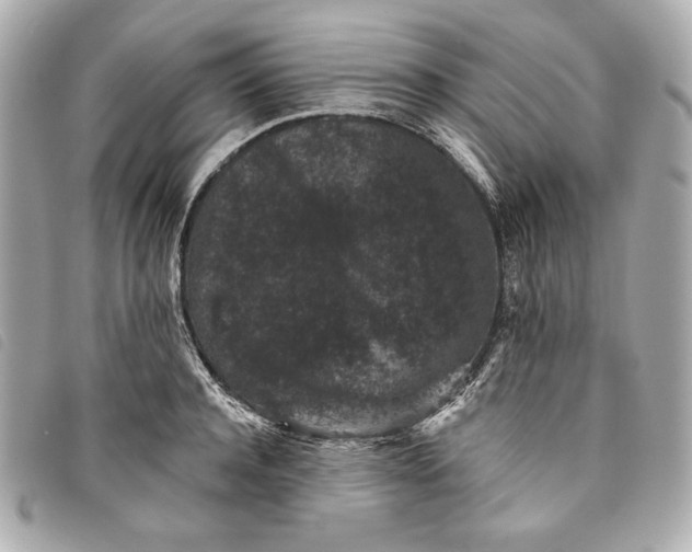 X0000093480944200710261036