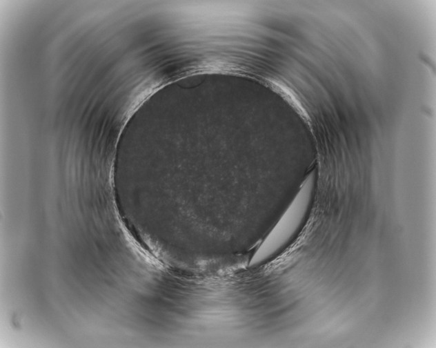 X0000093480946200710261036