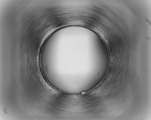 X0000093480947200710261036
