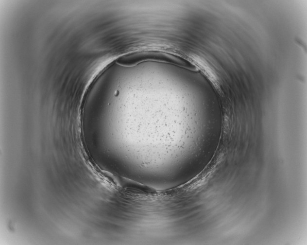 X0000093480948200710261036