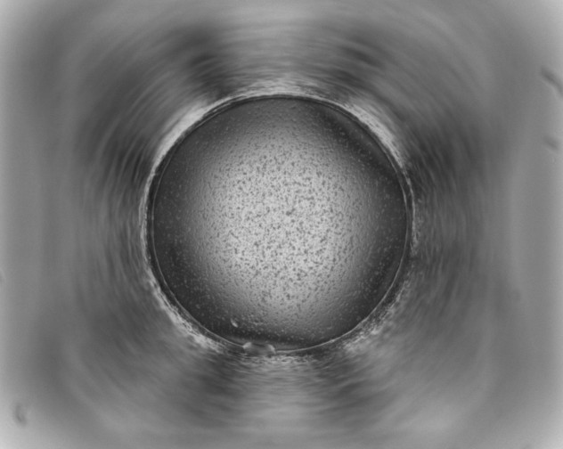 X0000093480949200710261036