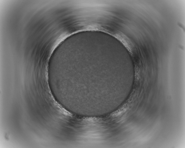 X0000093480950200710261036