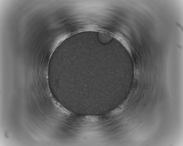 X0000093480954200710261036