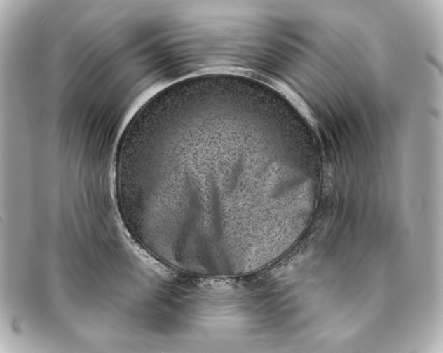 X0000093480955200710261036
