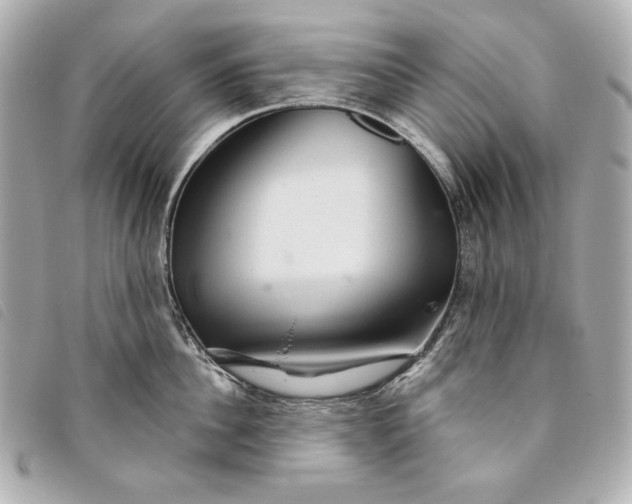 X0000093480956200710261036